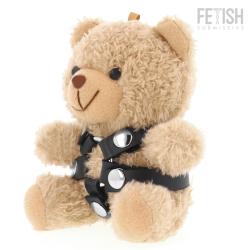 Bongo Teddy Bear BDSM 4