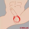 BullRing™ rouge par Cazzomeo® - Le cockring ultime pour des érections d’acier