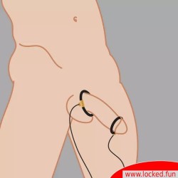 StimForce Anneaux Quad