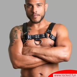 Harnais en cuir