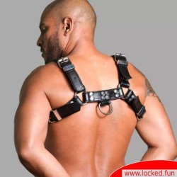 Harnais en cuir