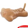 Pipedreams Torse avec pénis - Extreme Toyz
