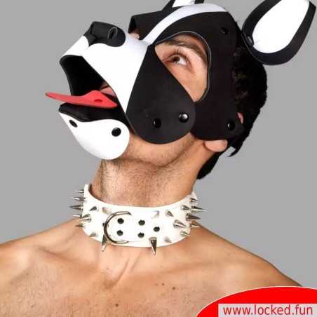 Collier à pointes blanc pour chien humain