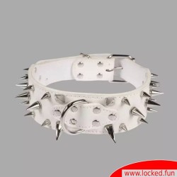 Collier à pointes blanc pour chien humain