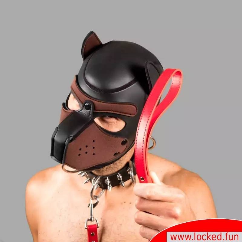 Laisse Bad Puppy Laisse Bad Puppy