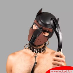 Laisse Bad Puppy