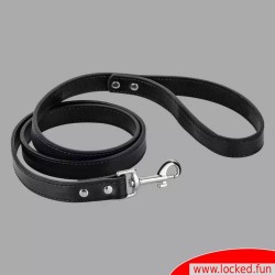 Laisse Bad Puppy