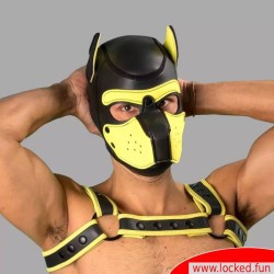 Masque noir jaune Bad Puppy en néoprène