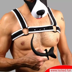 Bad Puppy Buttplug - Expand Me 2