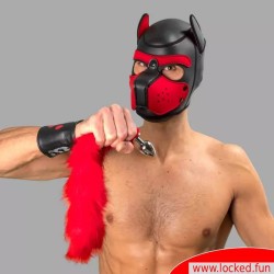 Plug anal Bad Puppy avec queue à fourrure rouge – Cosplay & Human Pup Play