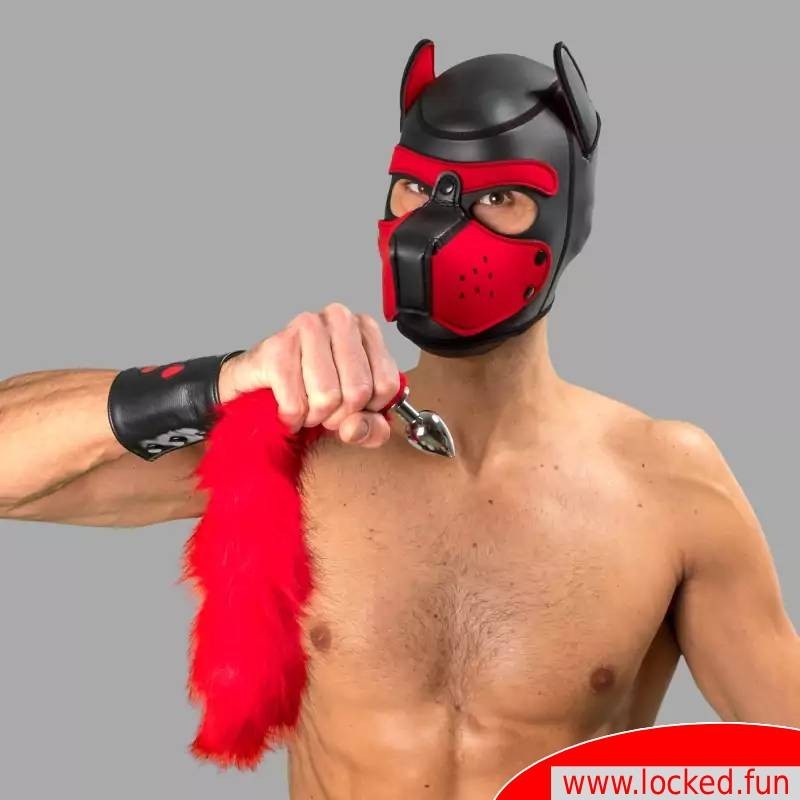 Plug anal Bad Puppy avec queue à fourrure rouge – Cosplay & Human Pup Play Plug anal Bad Puppy avec queue à fourrure rouge – Cosplay & Human Pup Play