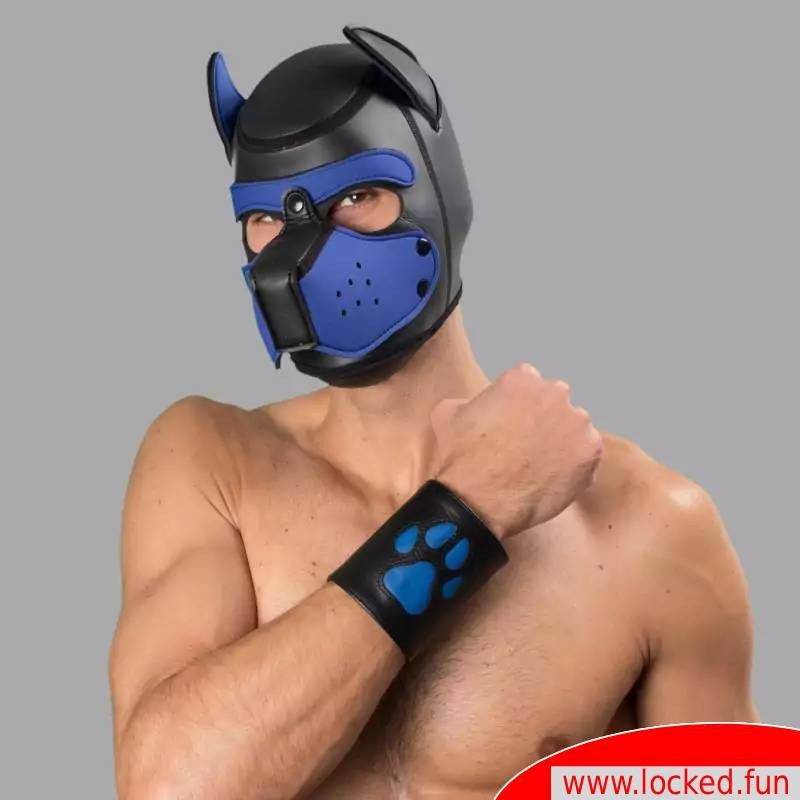 Manchette Puppy en cuir avec pattes – noir bleu Manchette Puppy en cuir avec pattes – noir bleu