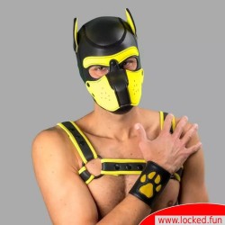 Manchette Puppy en cuir avec pattes – noir jaune