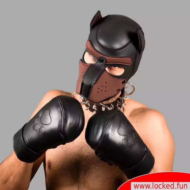 Pattes pour chien humain – Gants Puppy Mitts rembourrés Pattes pour chien humain – Gants Puppy Mitts rembourrés