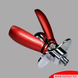 Plug anal verrouillable - Anal Master