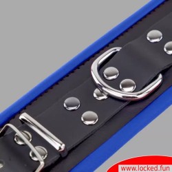 Menottes chevilles en cuir, rembourrées - noir  bleu