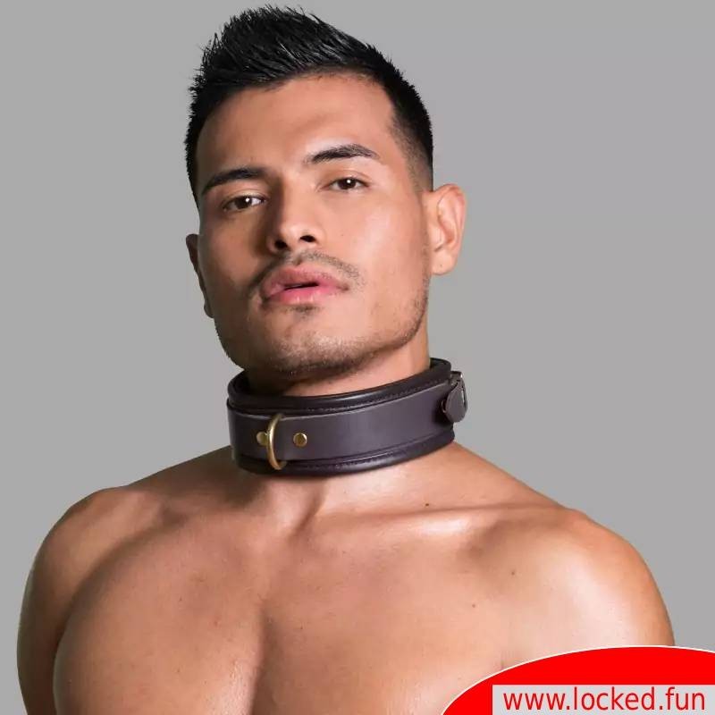 Collier de bondage en cuir De Luxe
