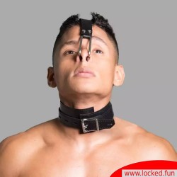 Collier de bondage à crochets naseaux