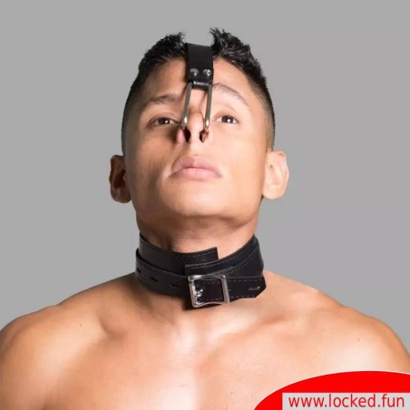 Collier de bondage à crochets naseaux