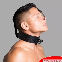 Collier de bondage à crochets naseaux