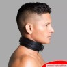 Collier de bondage à crochets naseaux