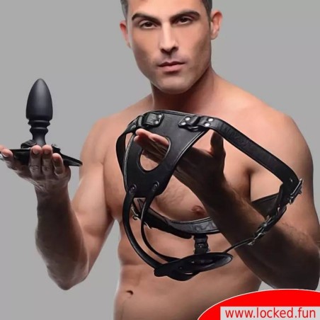 Harnais pour plug anal avec anneau pénien