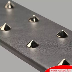 Paddle E-Stim avec pointes