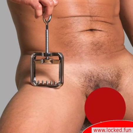 Broyeur de boules à dents DeLuxe