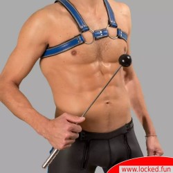 Butt Bruiser Crop -  BDSM Thuddy