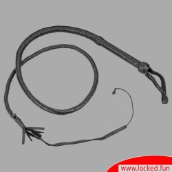 Fouet pour SM - Target Whip