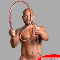 Fouet de luxe SM en cuir marron