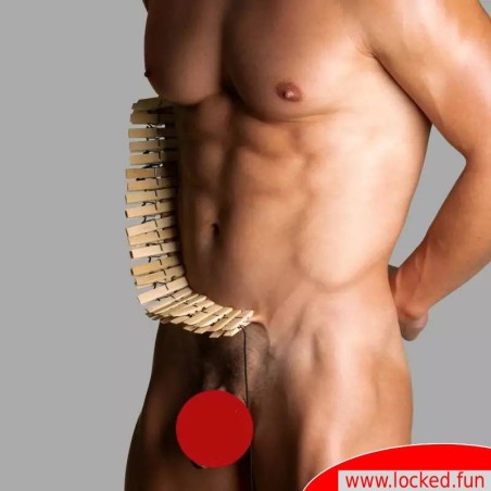 Firecracker Body Zipper Dr. Sado