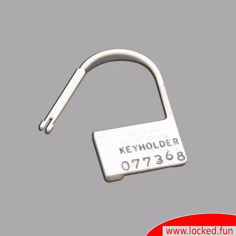 Cadenas à usage unique  – 20pcs