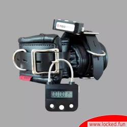 Cadenas à minuterie électronique2 pcs