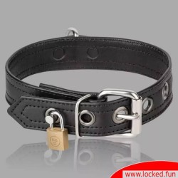 Collier verrouillable en cuir