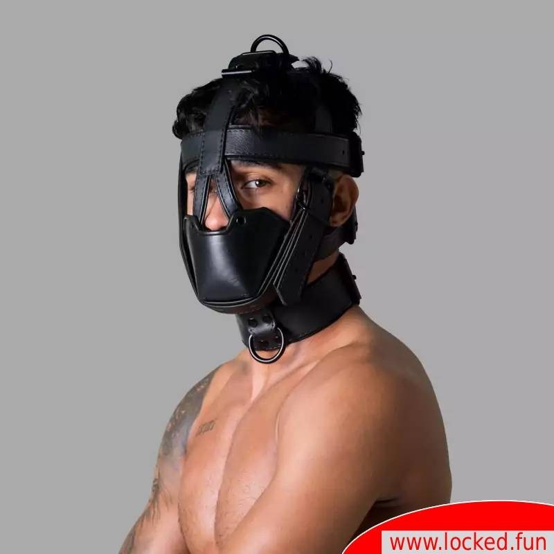 Harnais de tête en cuir - Deluxe San Francisco Harnais de tête en cuir - Deluxe San Francisco