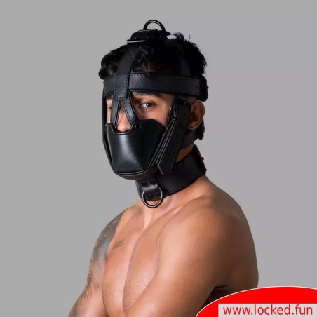 Harnais de tête en cuir - Deluxe San Francisco
