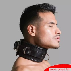 Collier BDSM en cuir, verrouillable, rembourré, avec anneaux en D - Collection San Francisco.