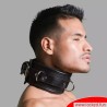 Collier BDSM en cuir, verrouillable, rembourré, avec anneaux en D - Collection San Francisco.