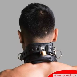 Collier BDSM en cuir, verrouillable, rembourré, avec anneaux en D - Collection San Francisco.