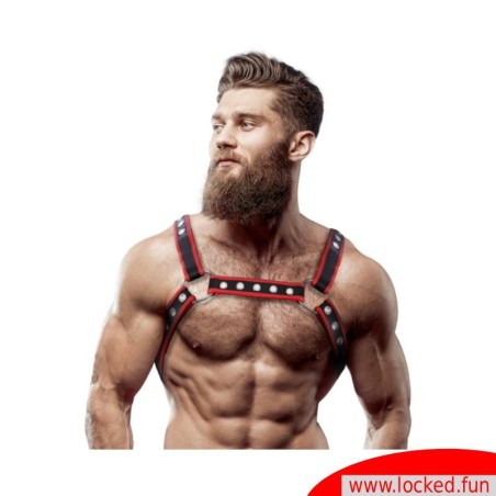 Harnais poitrine cuir Bulldog noir rouge