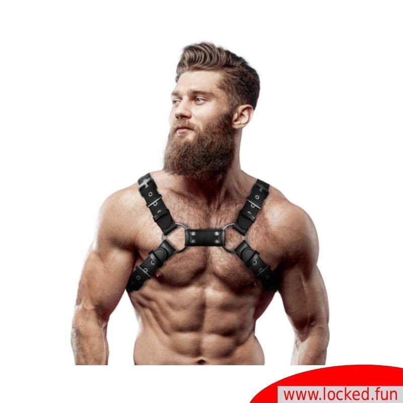 Harnais poitrine cuir Bulldog