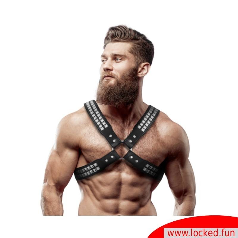 Harnais poitrine cuir croisé avec rivets