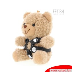 Bongo Teddy Bear BDSM 4