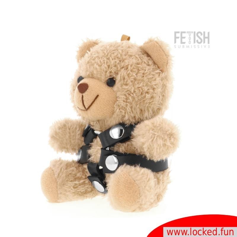 Bongo Teddy Bear BDSM 4