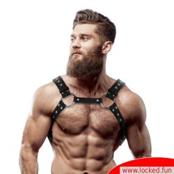 Harnais Poitrine Cuir avec clous