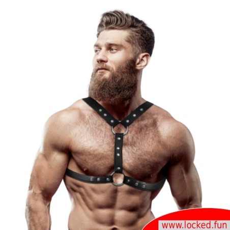 Harnais Poitrine Double Cuir avec clous