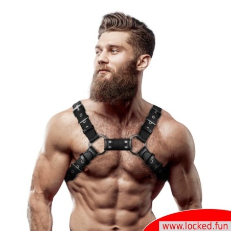 Harnais Bulldog Ajustable Cuir