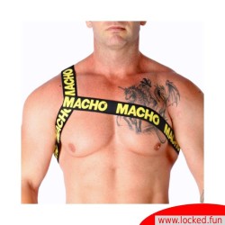 Harnais Romain jaune MACHO