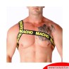 Harnais Romain jaune MACHO